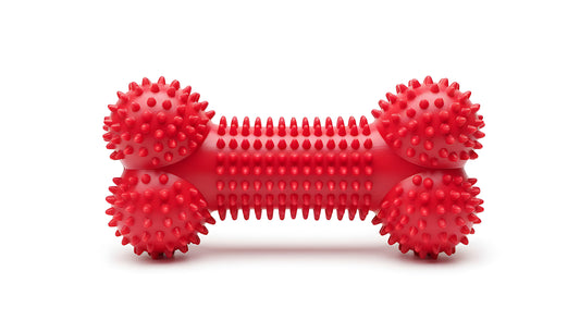 Heavy Duty Indestructible Dog Chew Bone for Aggressive Chewers